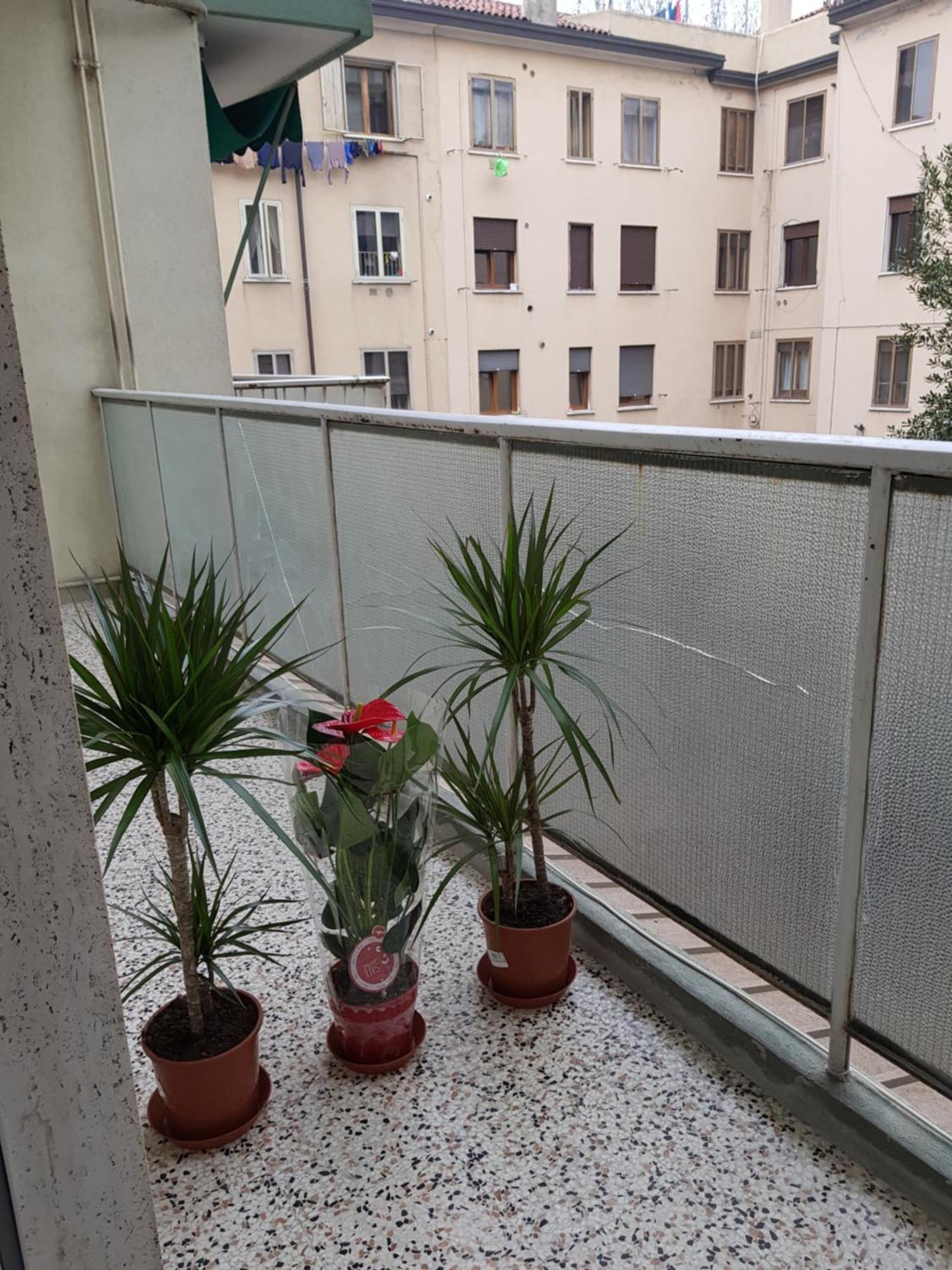 Gasthof Venice *